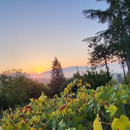 "Il Casaletto" Agriturismo Moderno, Vista Panoramica E Cibo Spettacolare- Scurcola Marsicana מראה חיצוני תמונה