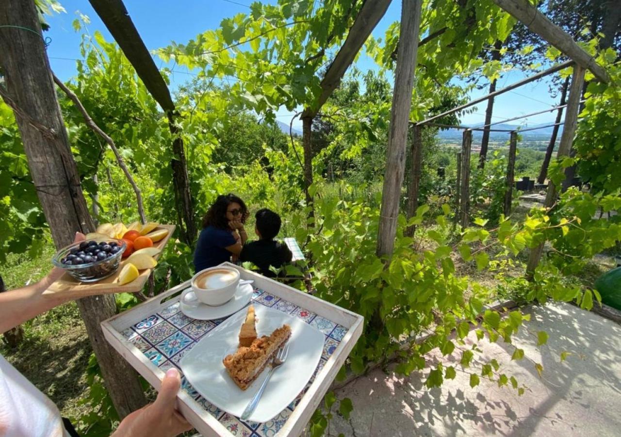 "Il Casaletto" Agriturismo Moderno, Vista Panoramica E Cibo Spettacolare- Scurcola Marsicana מראה חיצוני תמונה