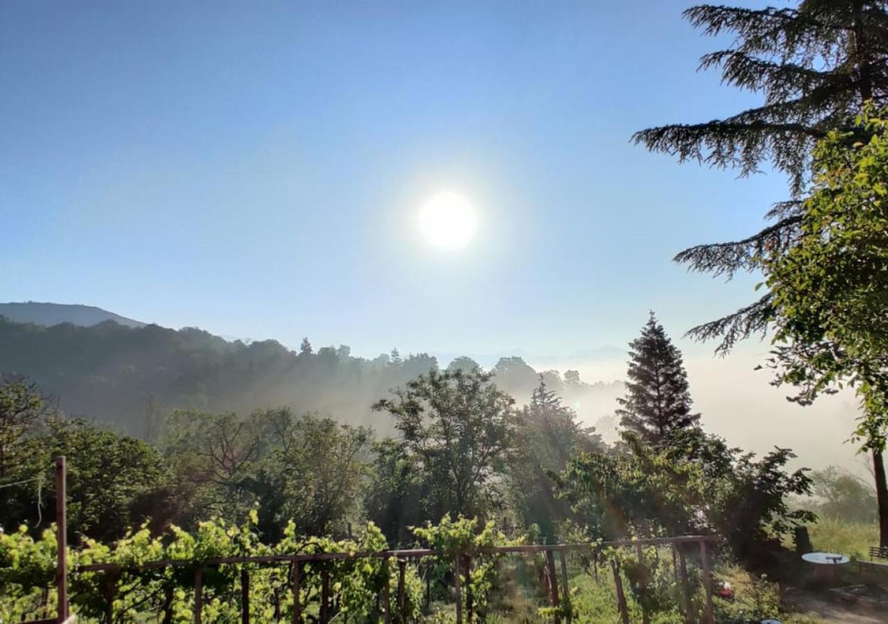 "Il Casaletto" Agriturismo Moderno, Vista Panoramica E Cibo Spettacolare- Scurcola Marsicana מראה חיצוני תמונה