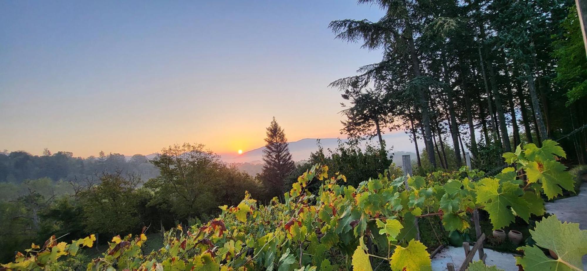 "Il Casaletto" Agriturismo Moderno, Vista Panoramica E Cibo Spettacolare- Scurcola Marsicana מראה חיצוני תמונה