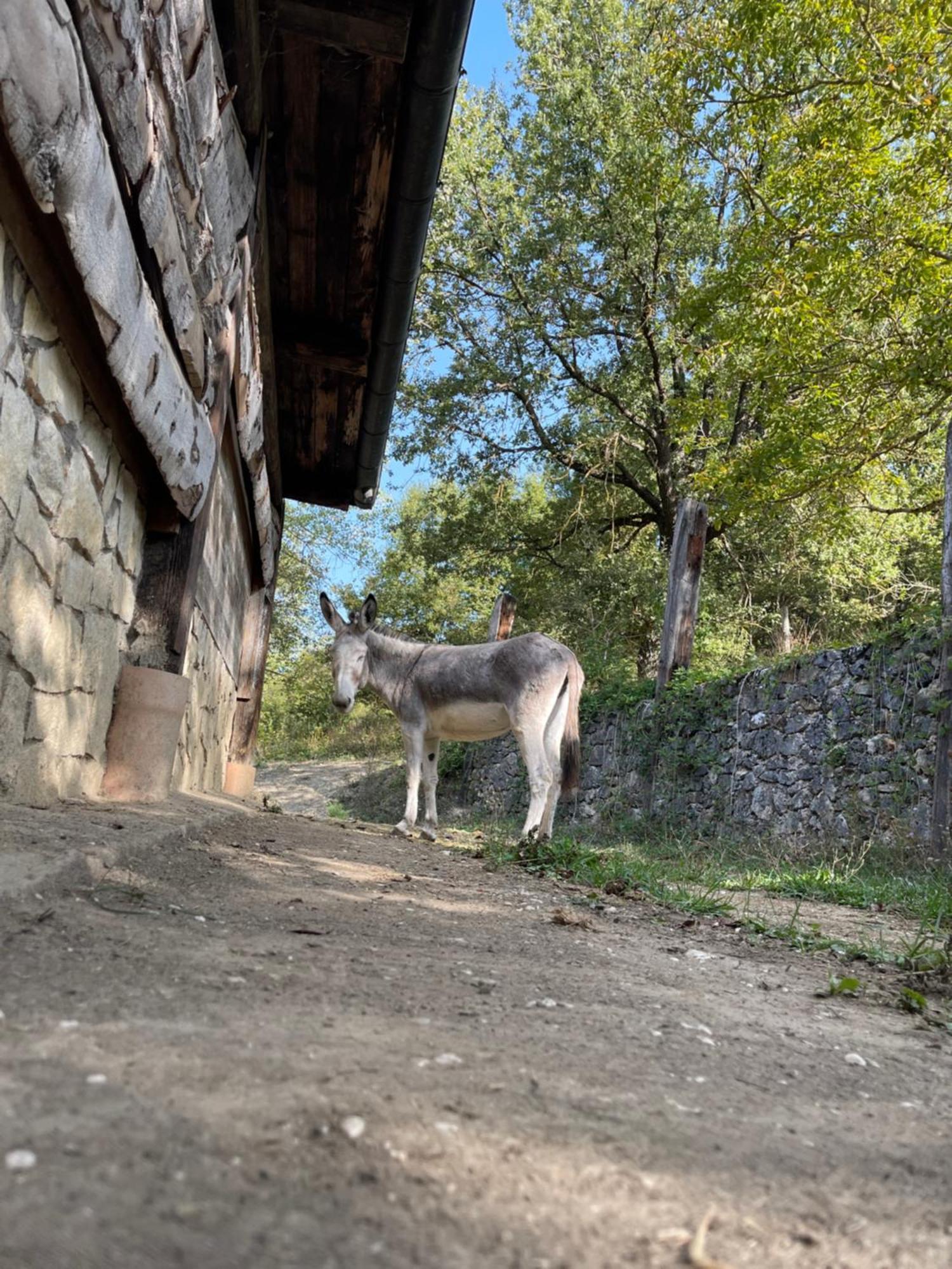 "Il Casaletto" Agriturismo Moderno, Vista Panoramica E Cibo Spettacolare- Scurcola Marsicana מראה חיצוני תמונה
