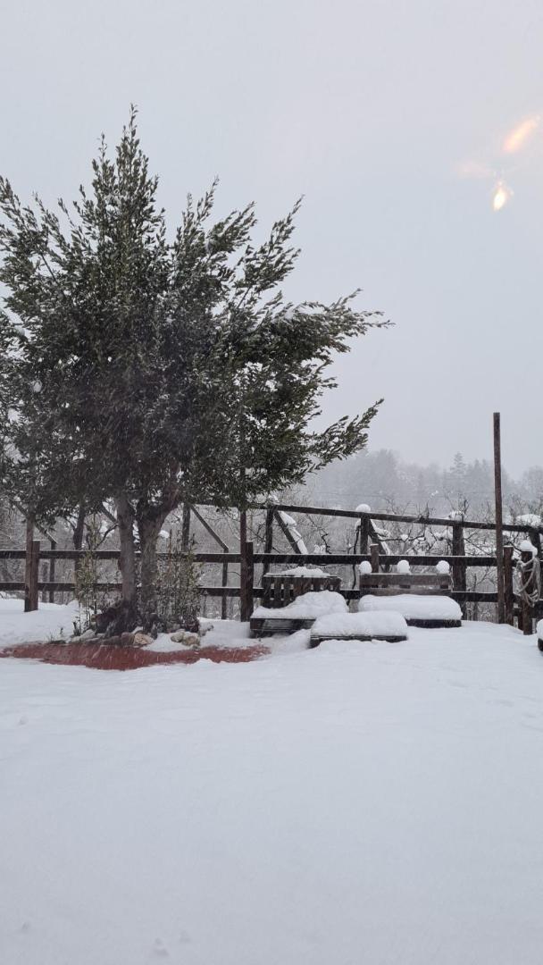 "Il Casaletto" Agriturismo Moderno, Vista Panoramica E Cibo Spettacolare- Scurcola Marsicana מראה חיצוני תמונה